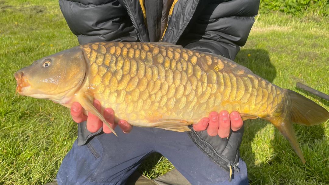 Bece Fish Adam Tierney (@tierney_adam)