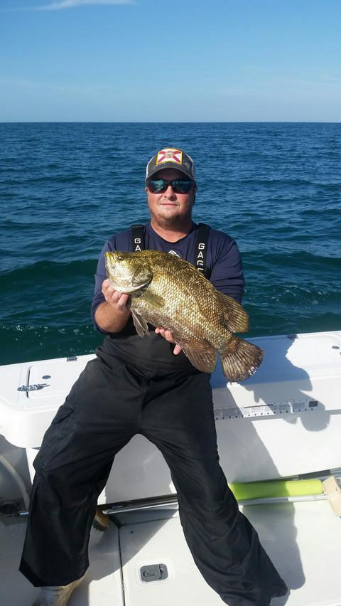 Andrew Angler Andrew Davis (@Flogrownangler)